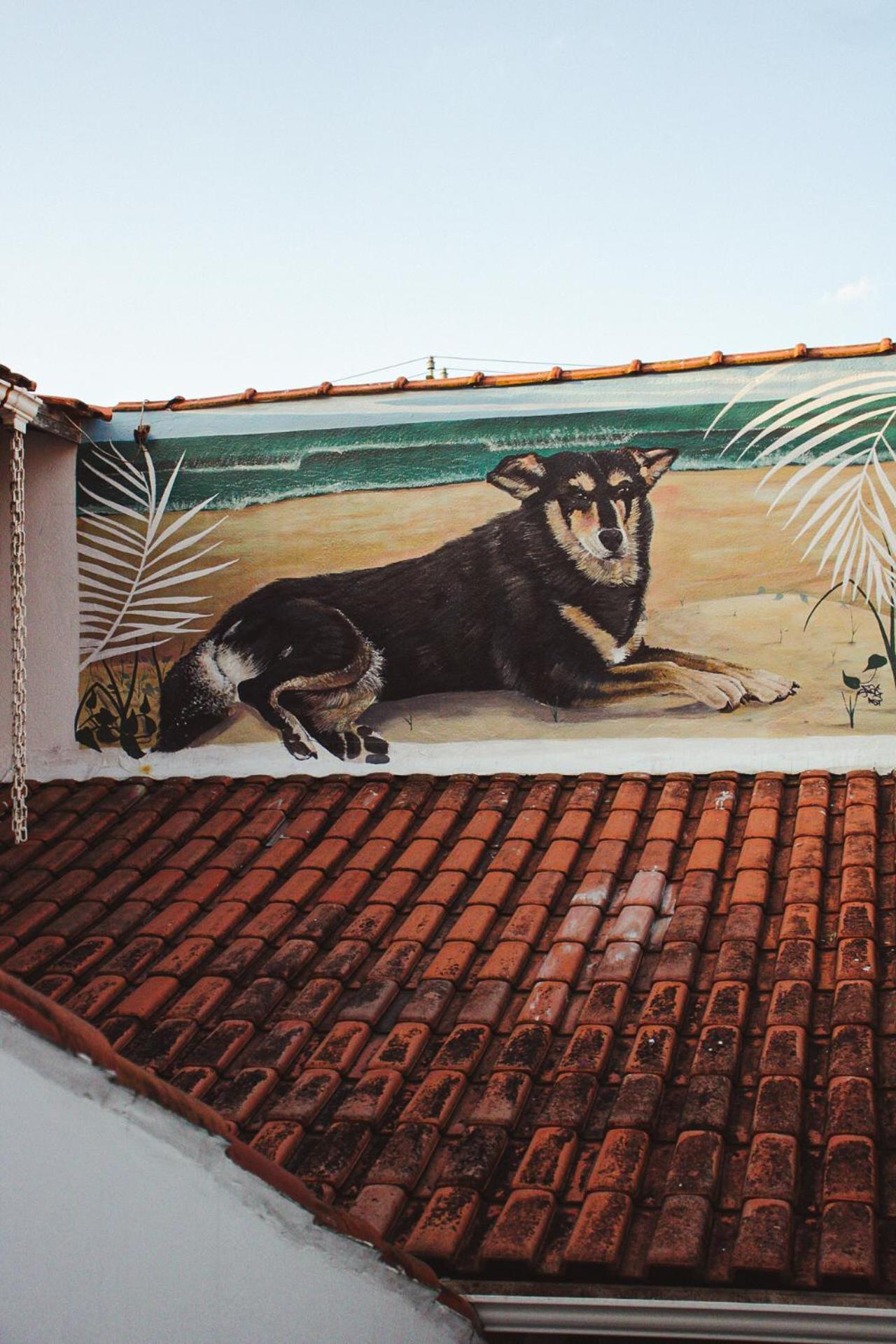 Beach Hostel & Suites Los Pibes De Flores Cabo Frio Exterior photo